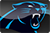 Carolina Logo